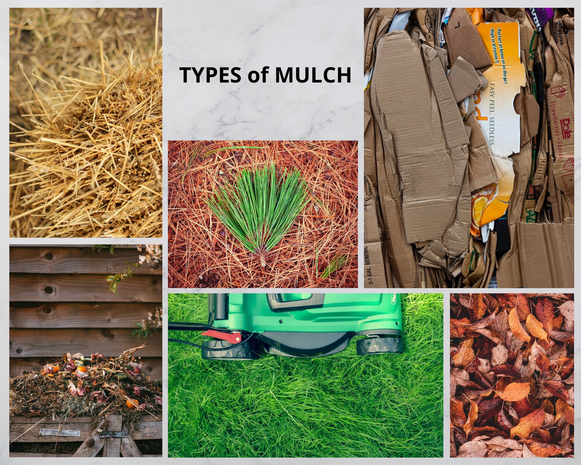 Why mulch? 8 Ways Mulch Improves your Garden